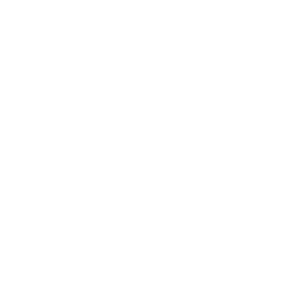 DSFI Logo